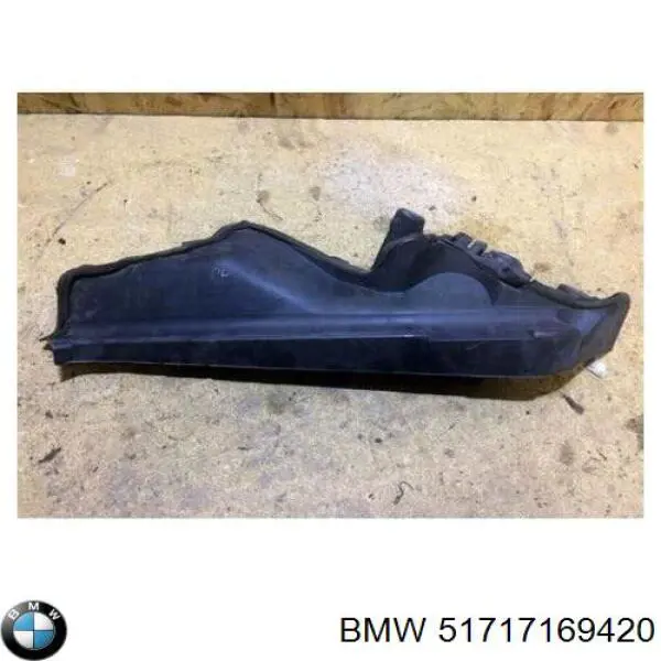 51717169420 BMW