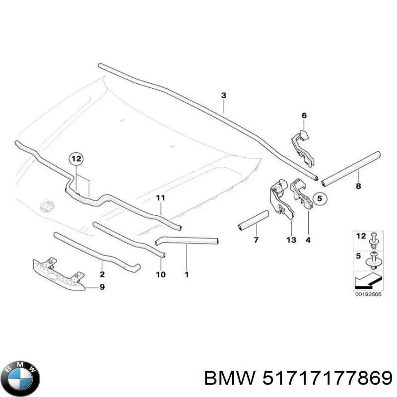 51717177869 BMW 