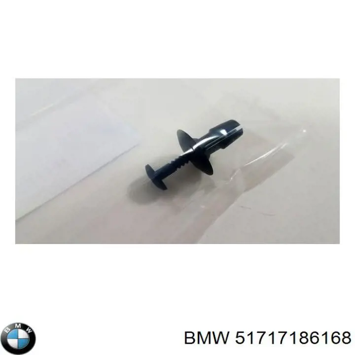 51717186168 BMW 