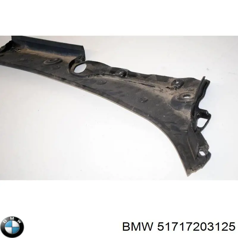 Купить 51717203125 BMW Водосток лобового стекла, жабо
