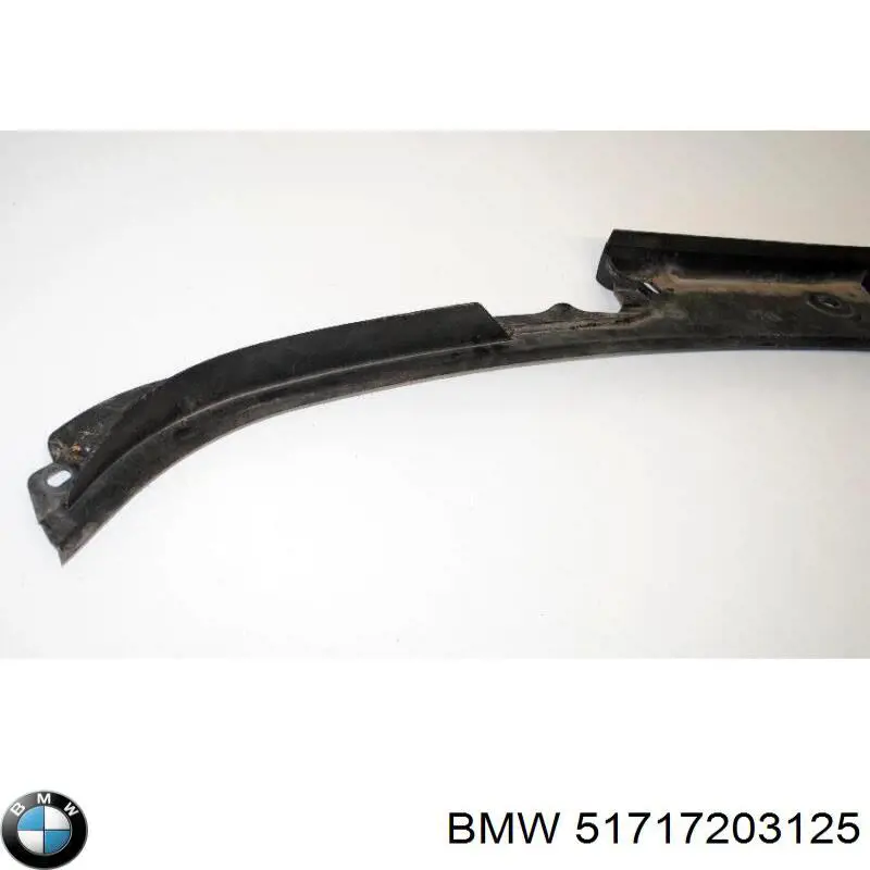 Водосток лобового стекла, жабо 51717203125 BMW