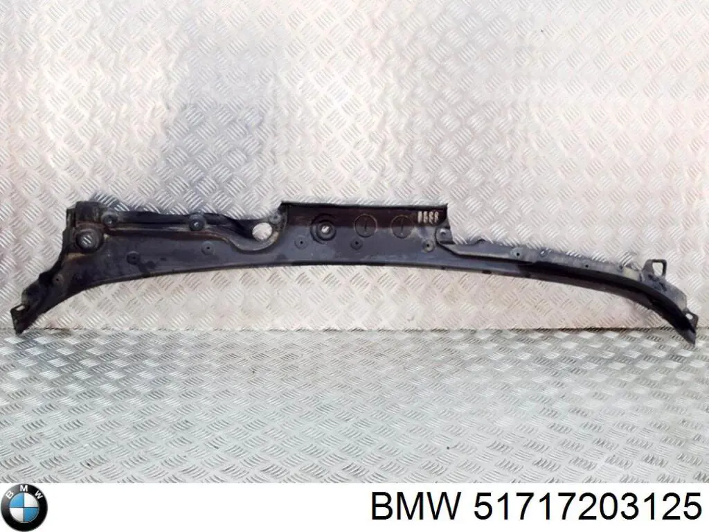 51717203125 BMW Водосток лобового стекла, жабо