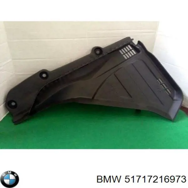 51717216973 BMW 