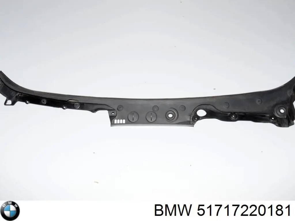 51717220181 BMW Жабо