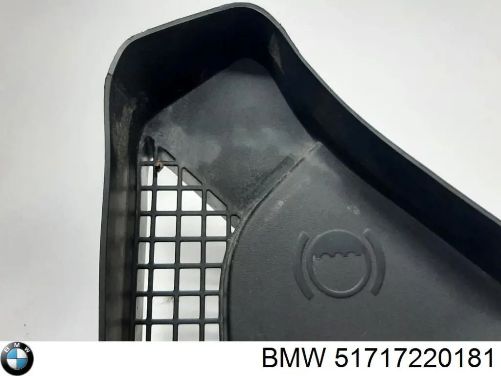 Решетка стеклоочистителей BMW 51717220181 цена, от 12.13 USD