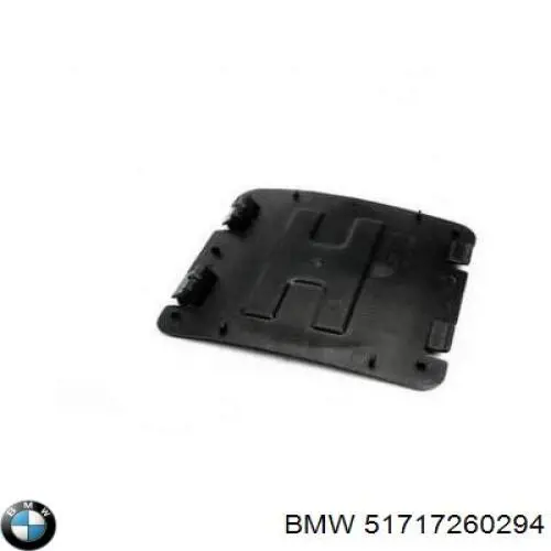 Guardabarros interior, aleta trasera, derecho 51717260294 BMW