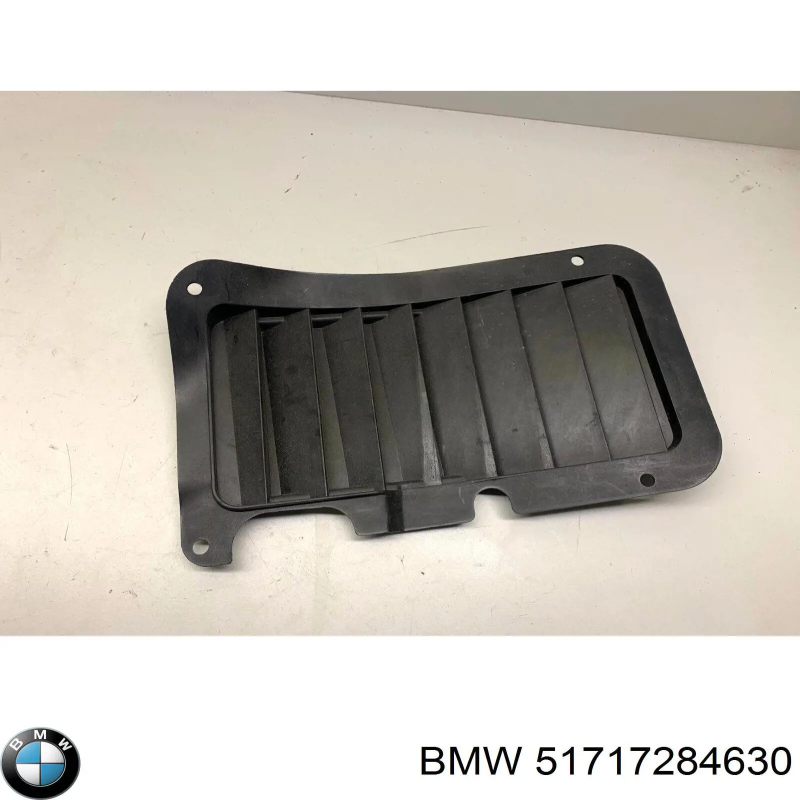  51717284630 BMW