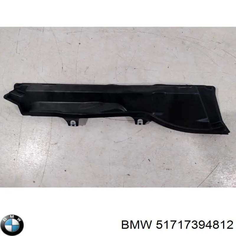 51717394812 BMW 