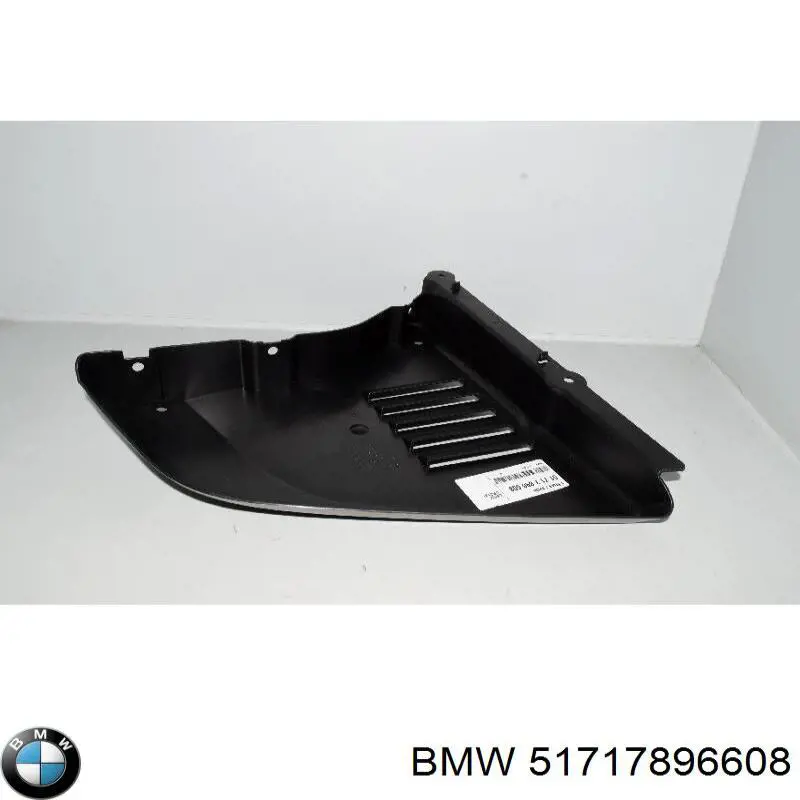 51717896608 Market (OEM) proteção de motor direito