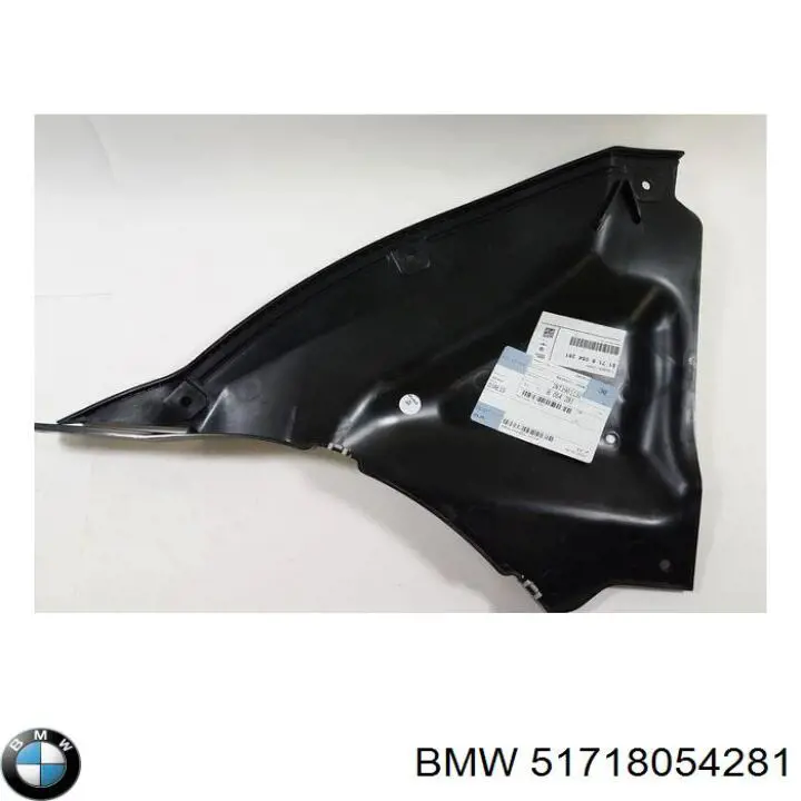 51718054281 BMW 