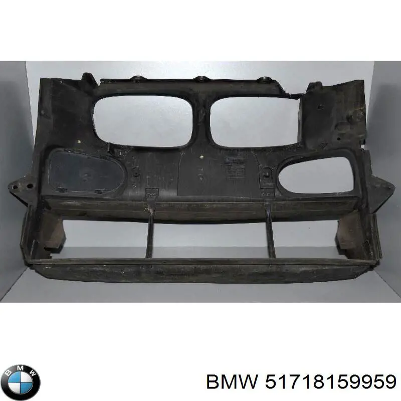 Deflector de aire, radiador 51718159959 BMW