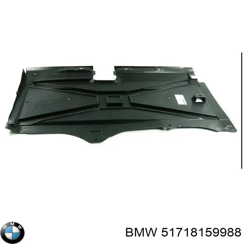  51718159988 BMW