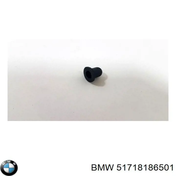  51718186501 BMW