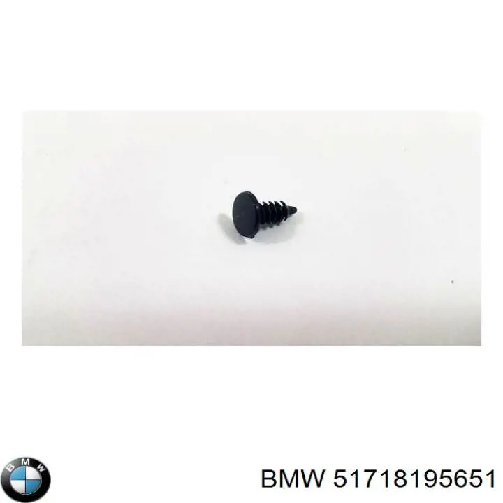  51718195651 BMW