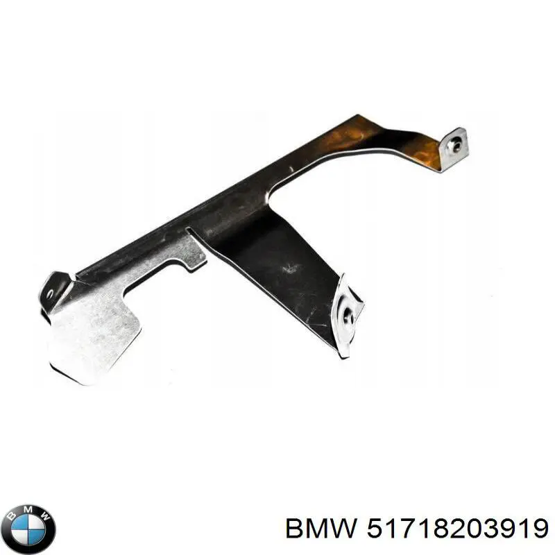  51718203919 BMW