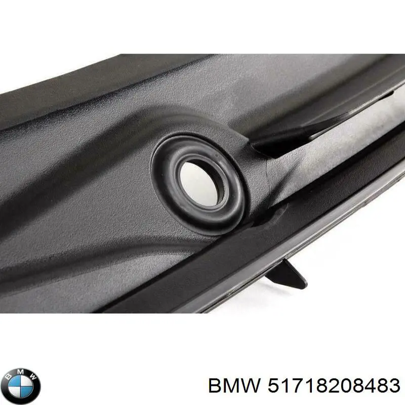 51718208483 BMW Жабо