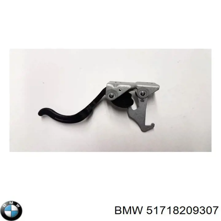  51718209307 BMW