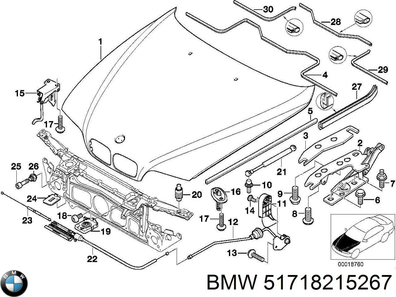 51718215267 BMW 