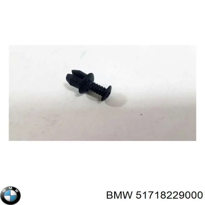  51718229000 BMW