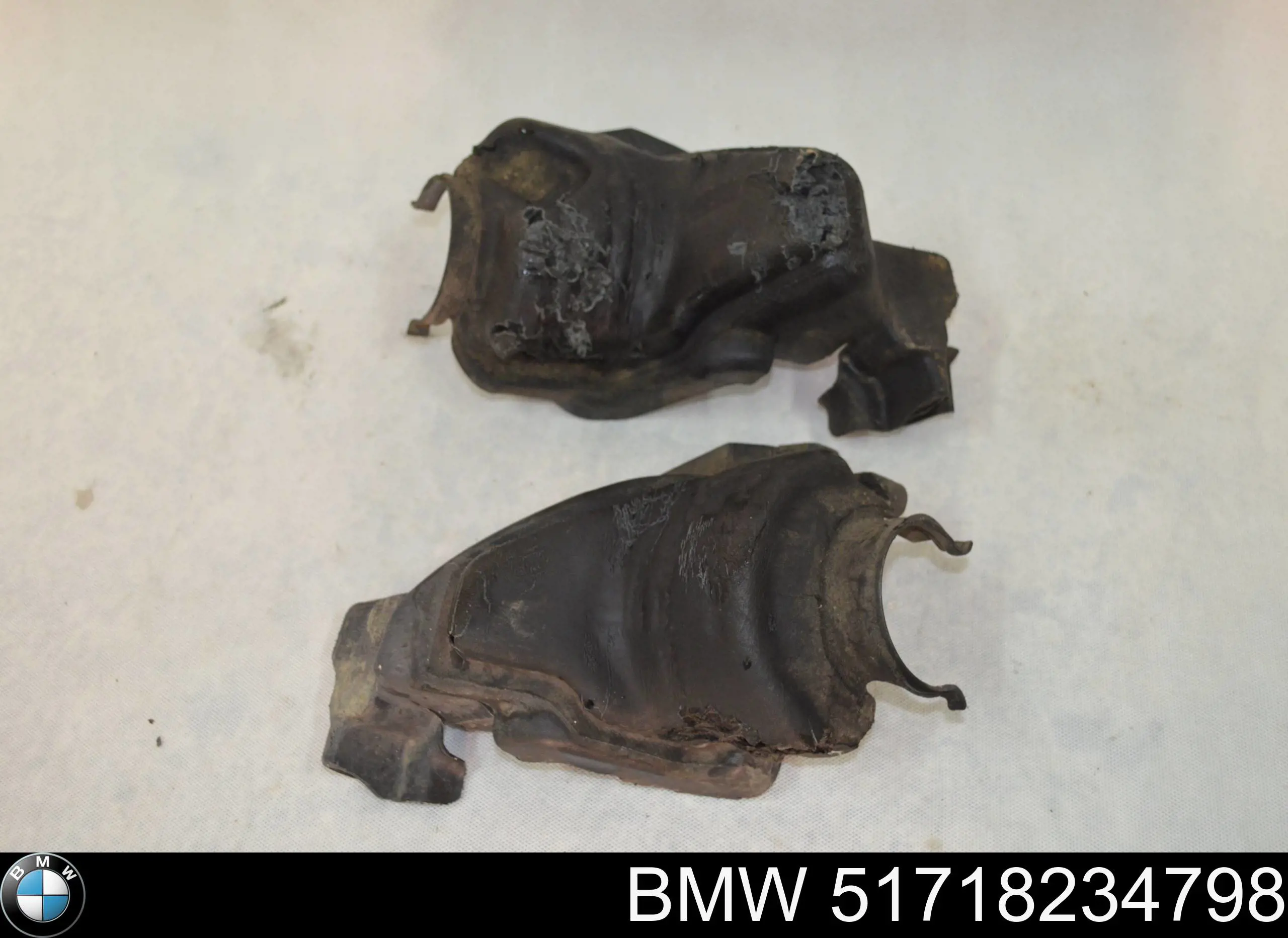 51718234798 BMW 