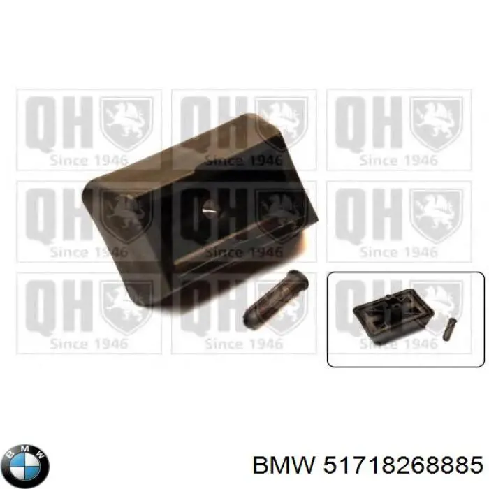 51718268885 BMW