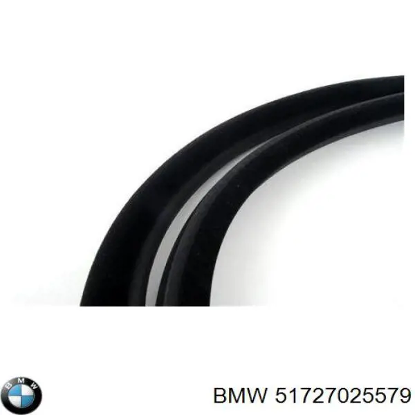 Купить 51727025579 BMW Уплотнитель двери передней (на кузове)