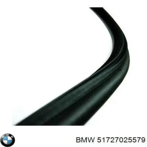 Уплотнитель двери передней (на кузове) 51727025579 BMW