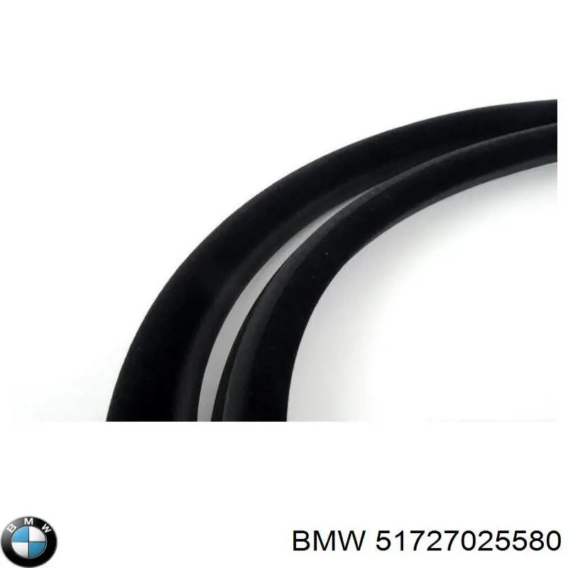 Купить 51727025580 BMW Уплотнитель двери задней (на кузове)