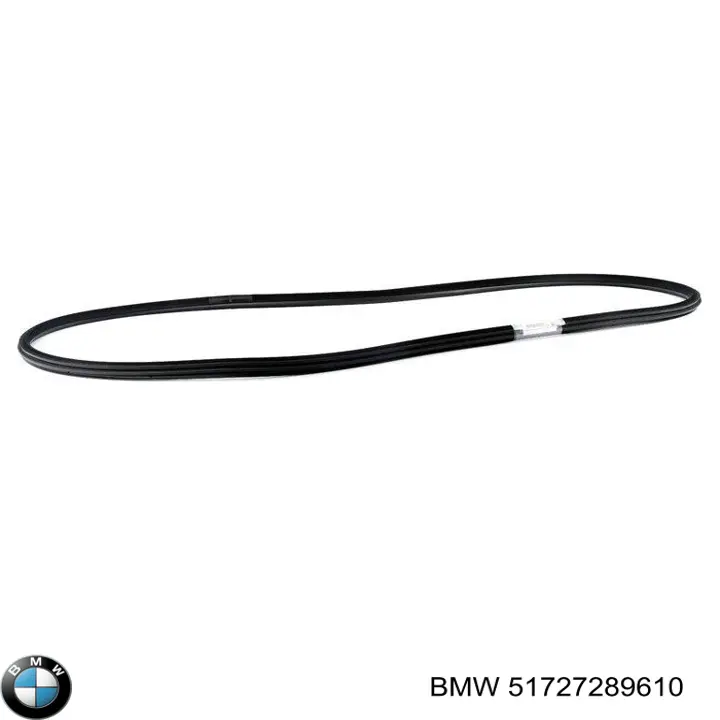 Уплотнитель двери передней (на кузове) BMW 51727289610 цена, от 191.88 USD
