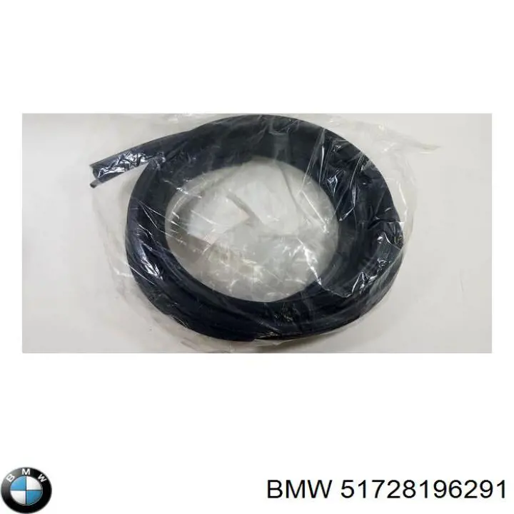 51728196291 BMW Уплотнитель двери передней (на кузове)