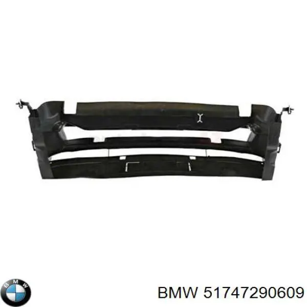 51747290609 BMW 