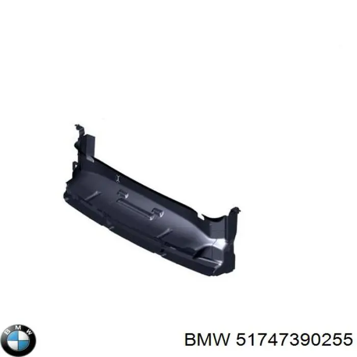  51747390255 BMW