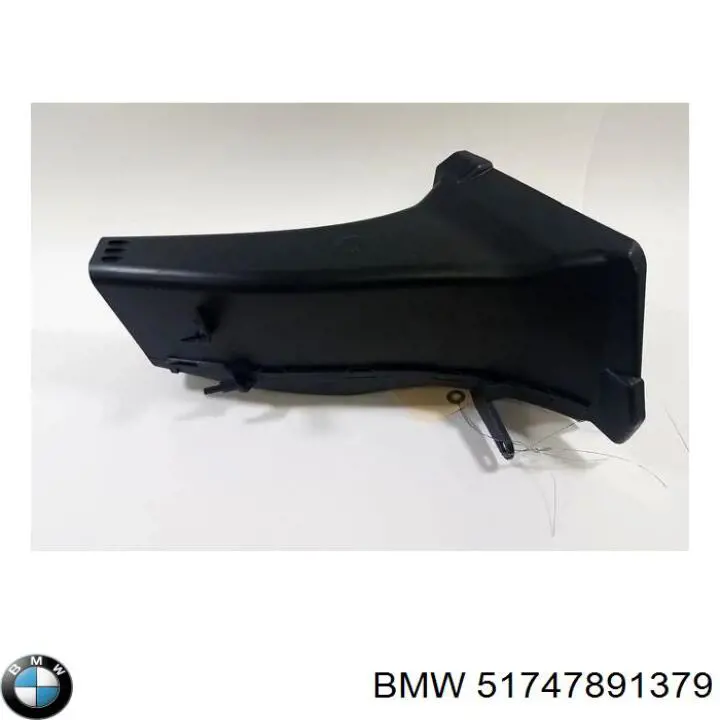 51747891379 BMW 