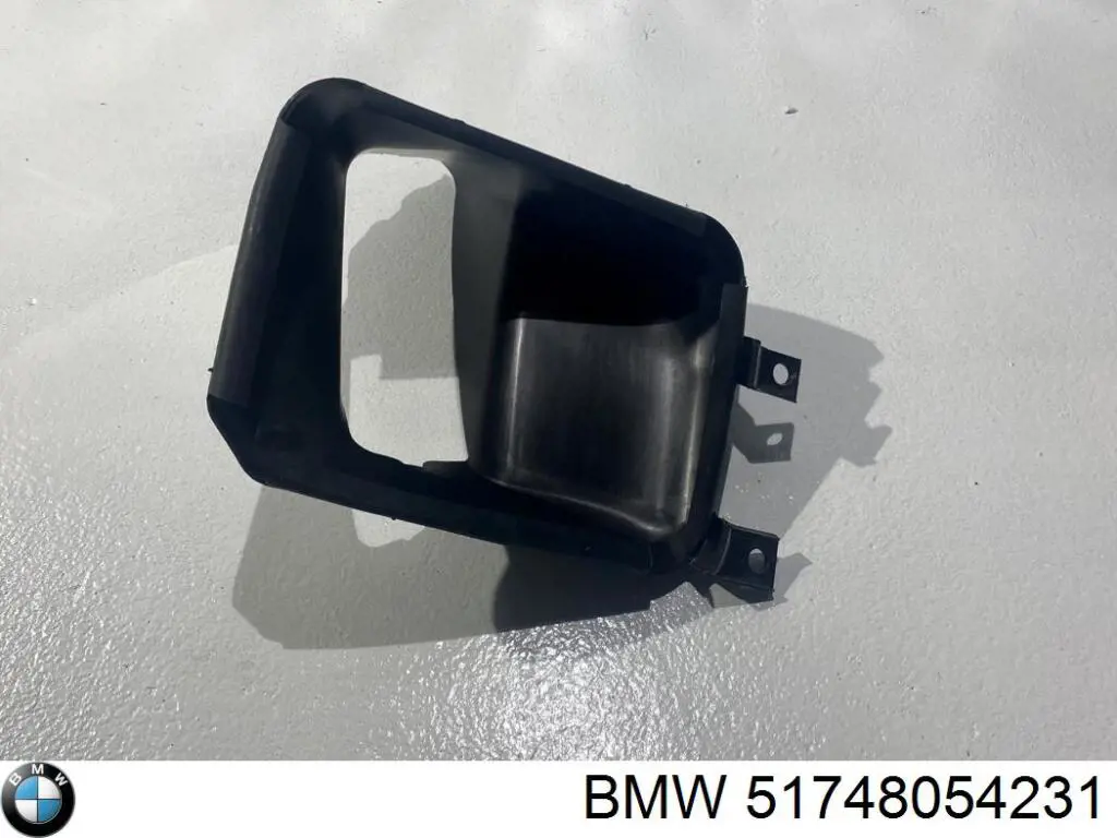 51748054231 BMW 