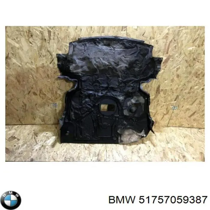 51757059387 BMW 