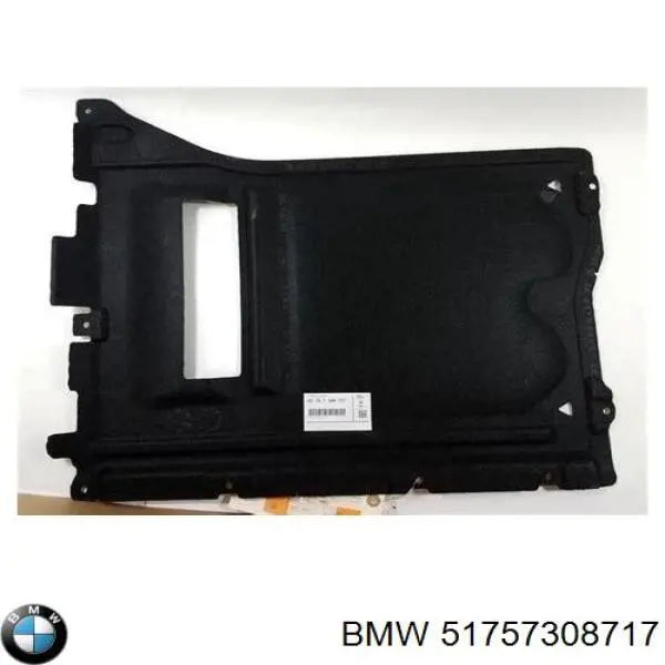  51757308717 BMW