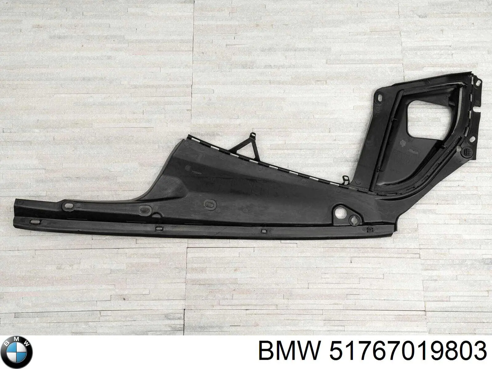 Protección motor izquierda 51767019803 BMW