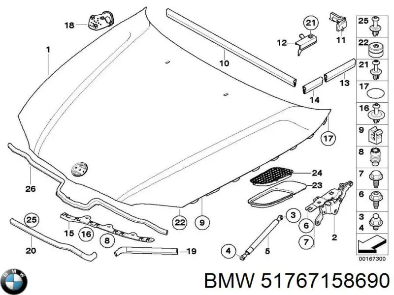 51767158690 BMW 