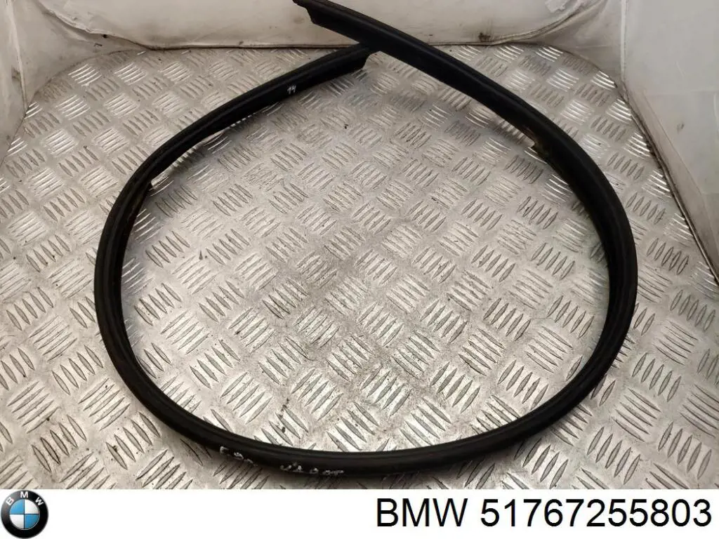  51767255803 BMW