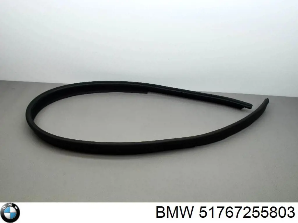  BMW 51767255803
