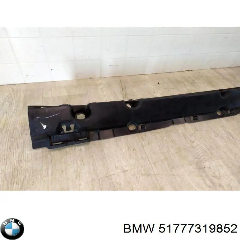 51777319852 BMW 