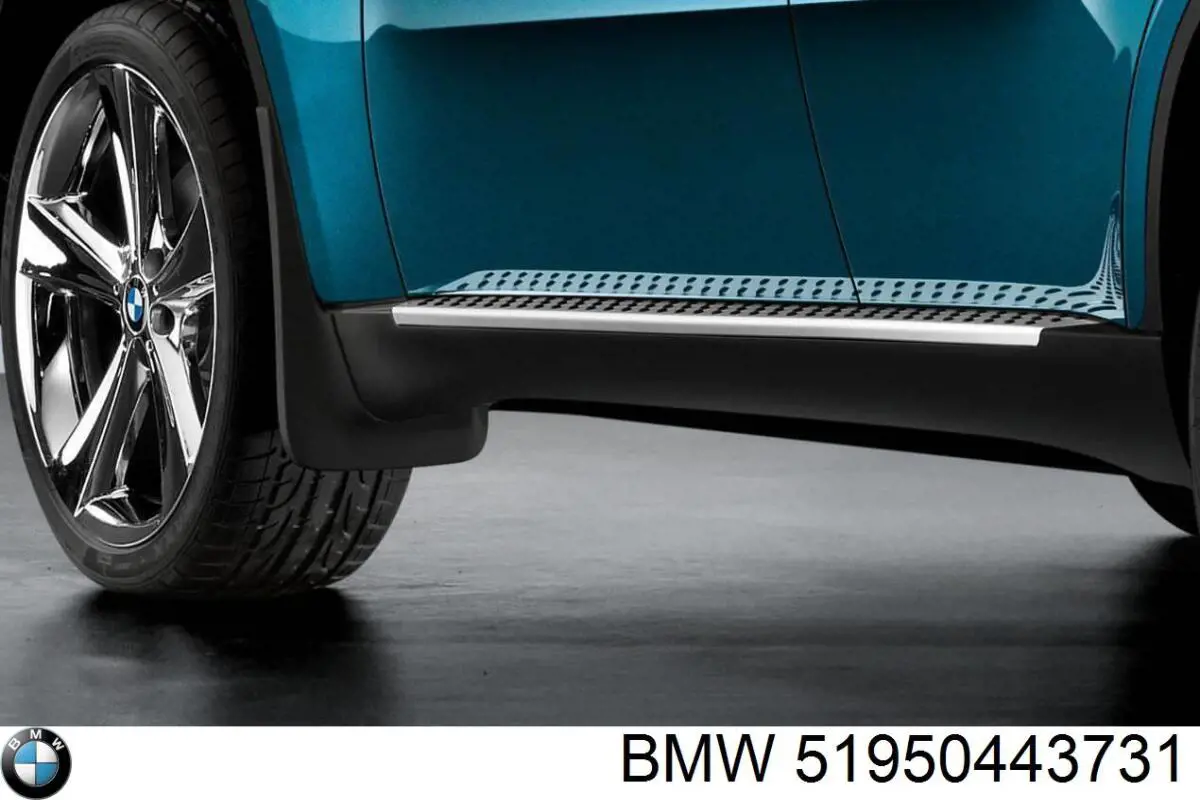 Комплект накладок выносных порогов на BMW X6 (E72) купить.