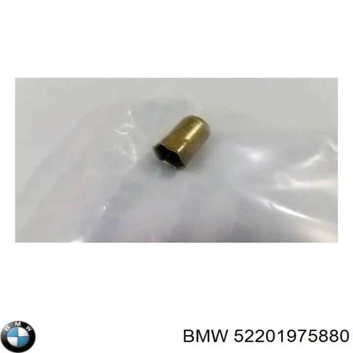 52201975880 BMW 