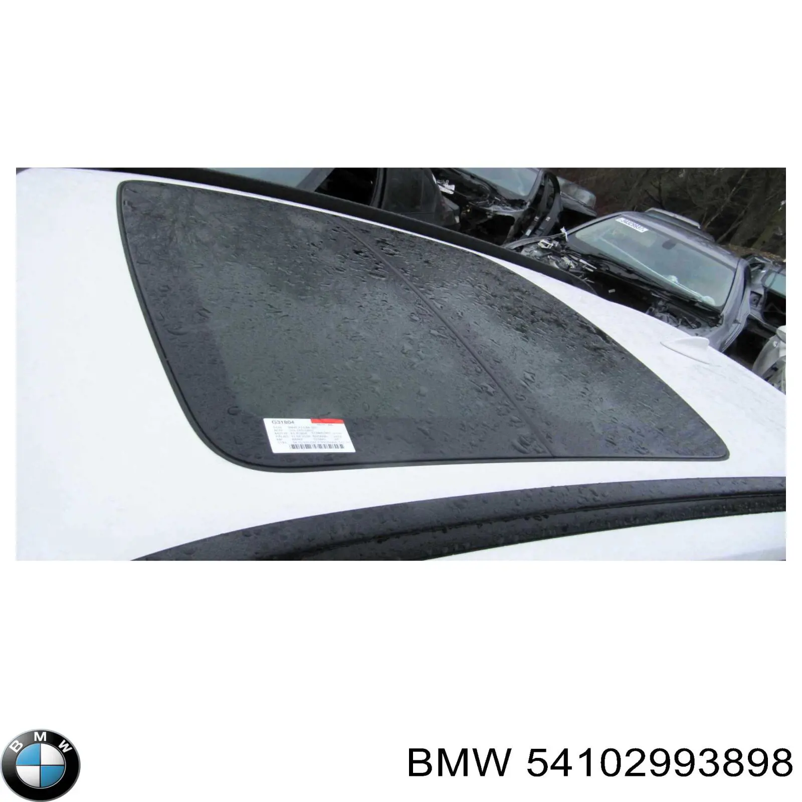  54102993898 BMW