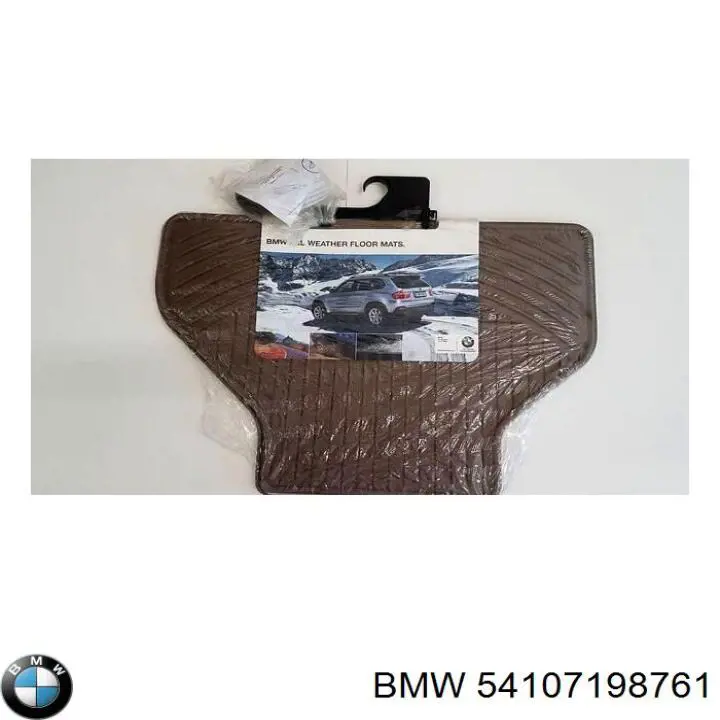 54107198761 BMW 