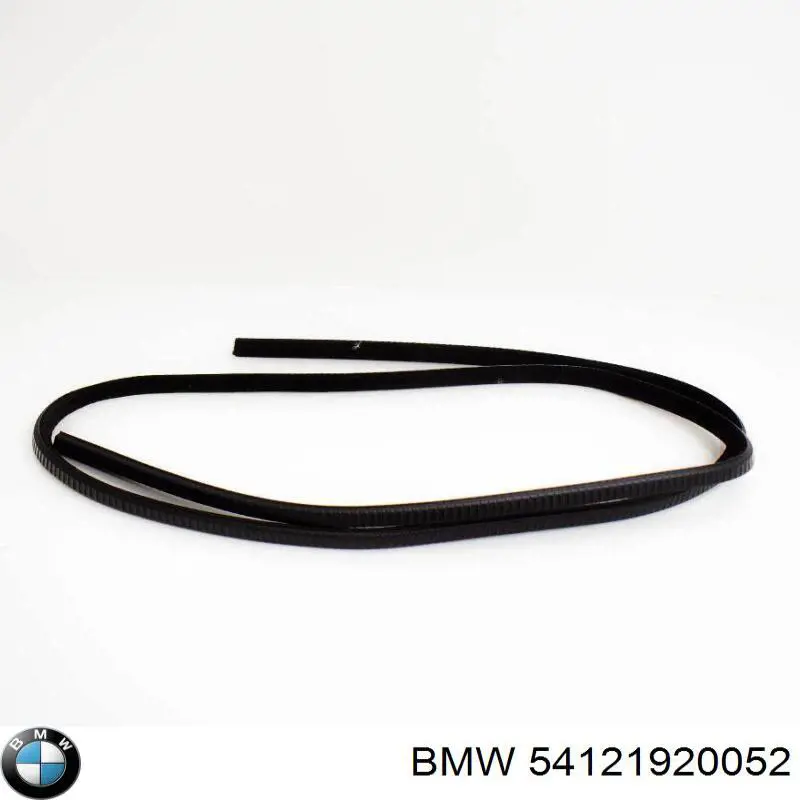 Прокладка кронштейна маслянного фильтра BMW 54121920052