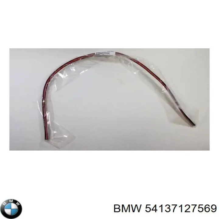 54137127569 BMW 