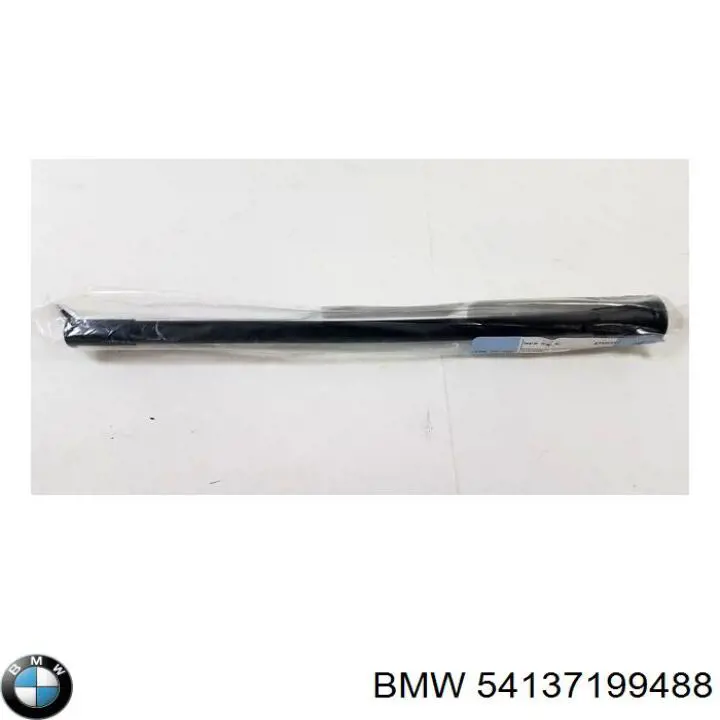  54137199488 BMW