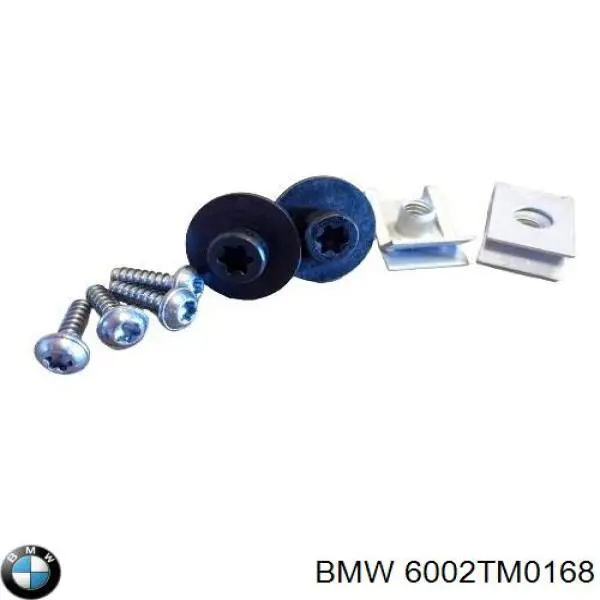 Купить 6002TM0168 BMW 