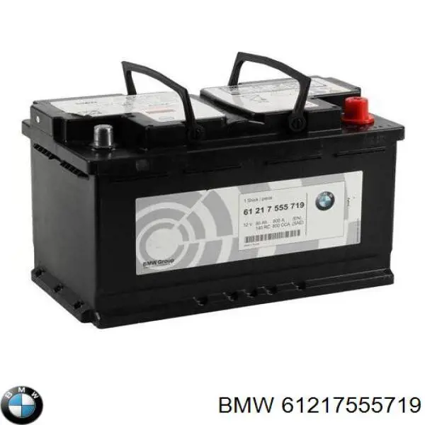 61217555719 BMW bateria recarregável (pilha)